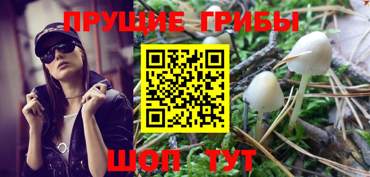 Буйнакск  Галлюциногенные грибы Magic Shrooms  Вход с VPN 
