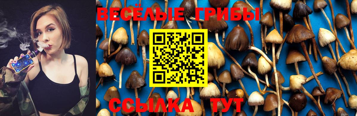 Псилоцибиновые грибы Magic Shrooms Буйнакск