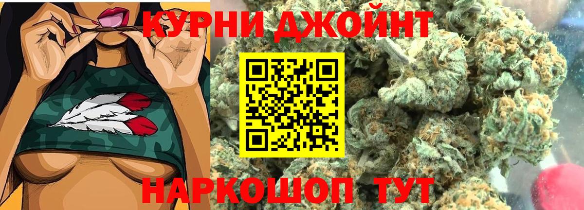 Шишки марихуана конопля  Шишки марихуана конопля  Шишки марихуана SATIVA & INDICA  Буйнакск  Конопля AK-47  Вход с VPN 